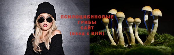 apvp Армянск