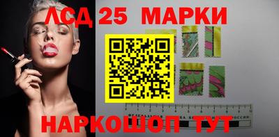 гидра Новозыбков