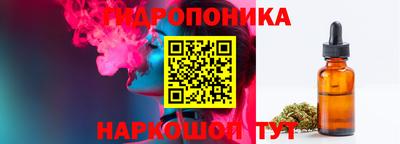 a pvp Новодвинск