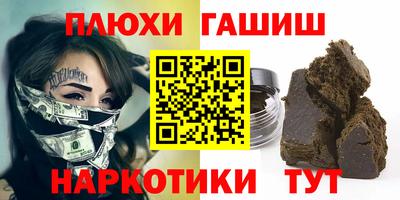 гидра Новозыбков