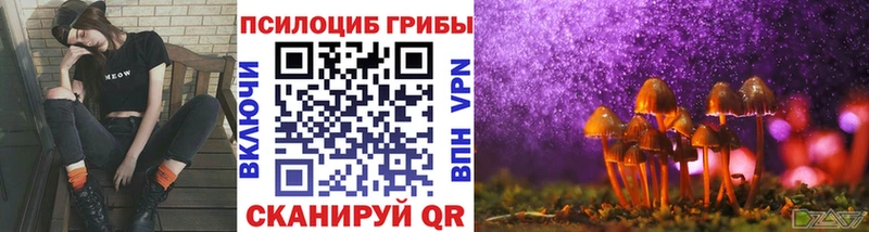 Псилоцибиновые грибы GOLDEN TEACHER  где найти наркотики  Глазов 