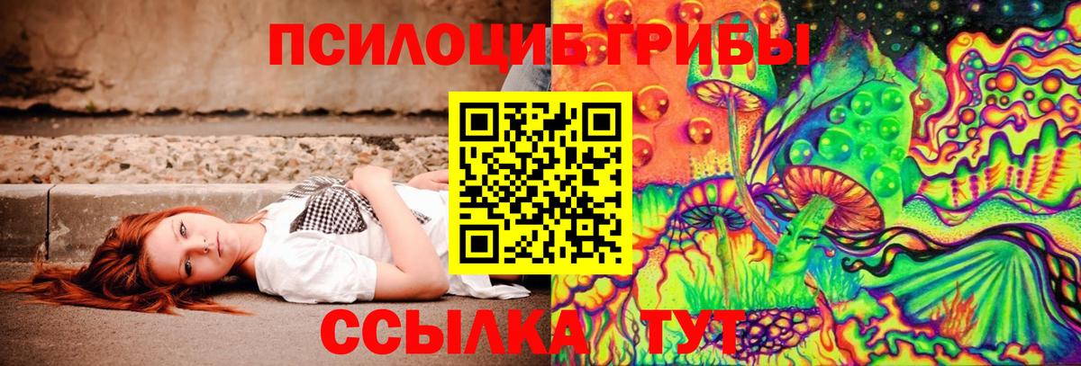 Псилоцибиновые грибы Psilocybine cubensis Глазов