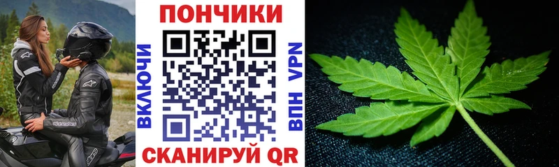 Шишки марихуана марихуана Глазов
